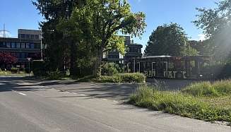 Waldsee Sommer