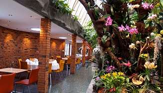 Tropenpflanzen Restaurant Tropenpflanzen Restaurant Perspektive ergebnis