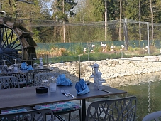 Pink Flamingo Terrasse 2