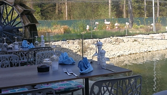 Pink Flamingo Terrasse 2