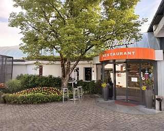 Tropenpflanzen Restaurant Runder Tisch 1 ergebnis