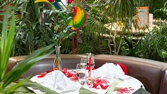 Romantik Romantik 1 ergebnis