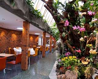 Tropenpflanzen Restaurant Tropenpflanzen Restaurant Perspektive ergebnis