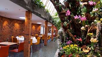 Tropenpflanzen Restaurant Tropenpflanzen Restaurant Perspektive ergebnis