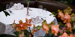 Tropenpflanzen Restaurant Rondelle Tropenpflanzen Restaurant Rondelle ergebnis