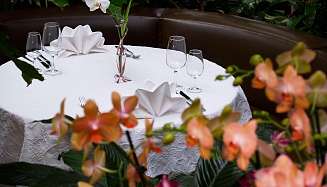 Tropenpflanzen Restaurant Rondelle Tropenpflanzen Restaurant Rondelle ergebnis