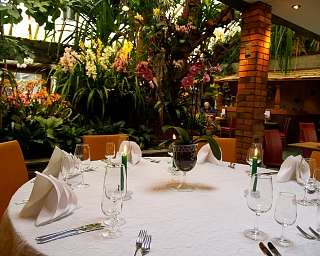 Tropenpflanzen Restaurant Runder Tisch 1 ergebnis Tropenpflanzen Restaurant Runder Tisch 1 ergebnis