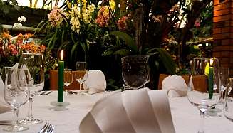 Tropenpflanzen Restaurant Runder Tisch Tropenpflanzen Restaurant Runder Tisch 2 ergebnis