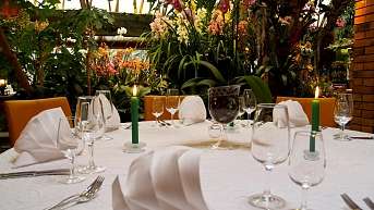 Tropenpflanzen Restaurant Runder Tisch ohne Person ergebnis Tropenpflanzen Restaurant Runder Tisch ohne Person ergebnis