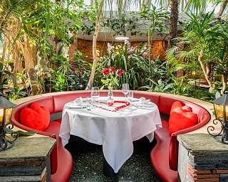Tropenpflanzen Restaurant Rondelle ergebnis